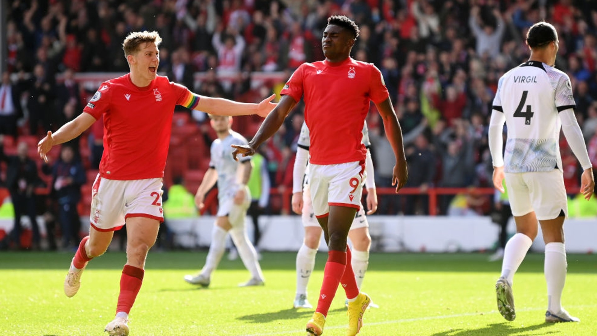 本地企业的 本地企业的